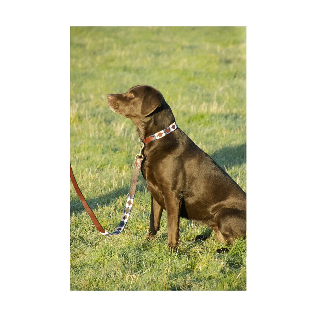 Benji & Flo Sublime Polo Leather Dog Lead