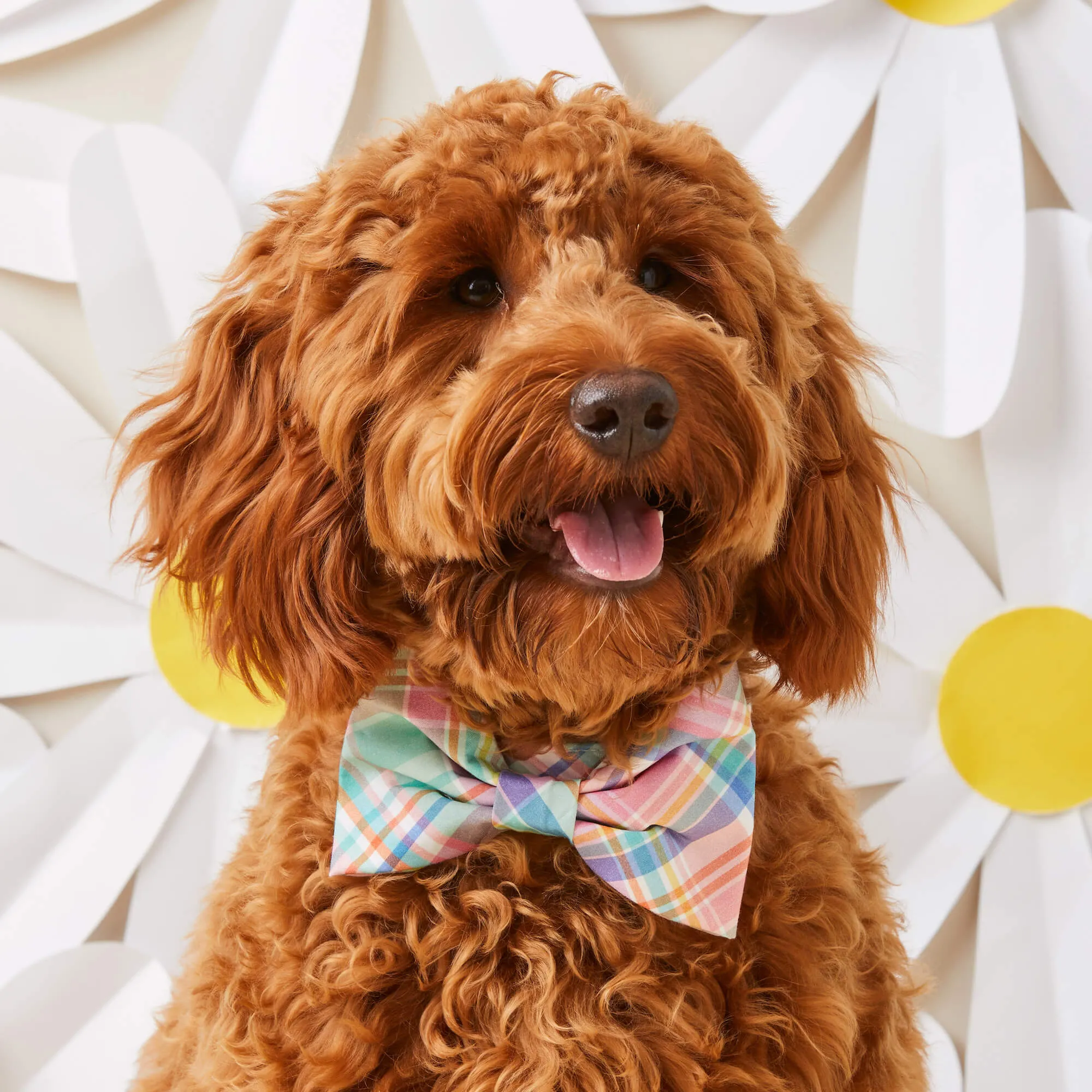 Blooming Plaid Bow Tie Collar