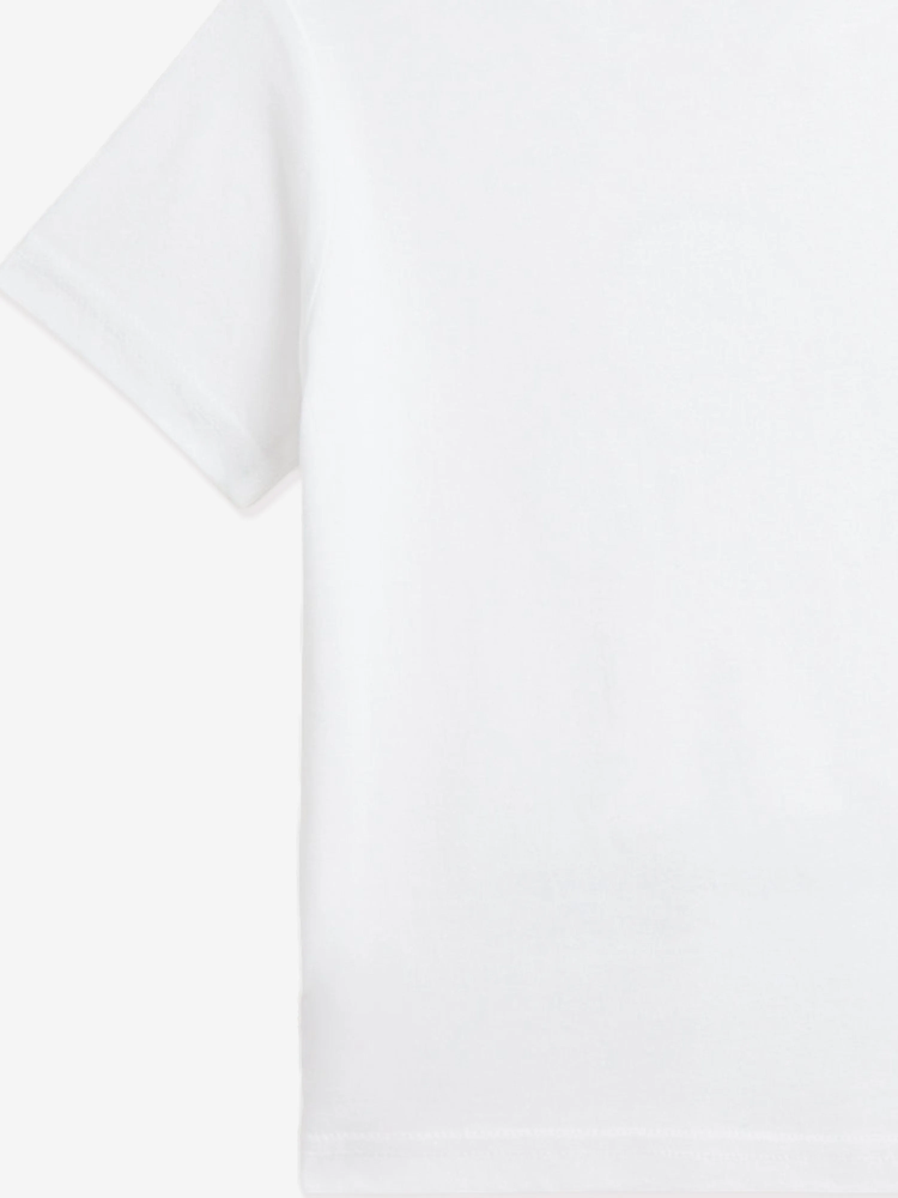 Boys Polo Bear T-Shirt in White