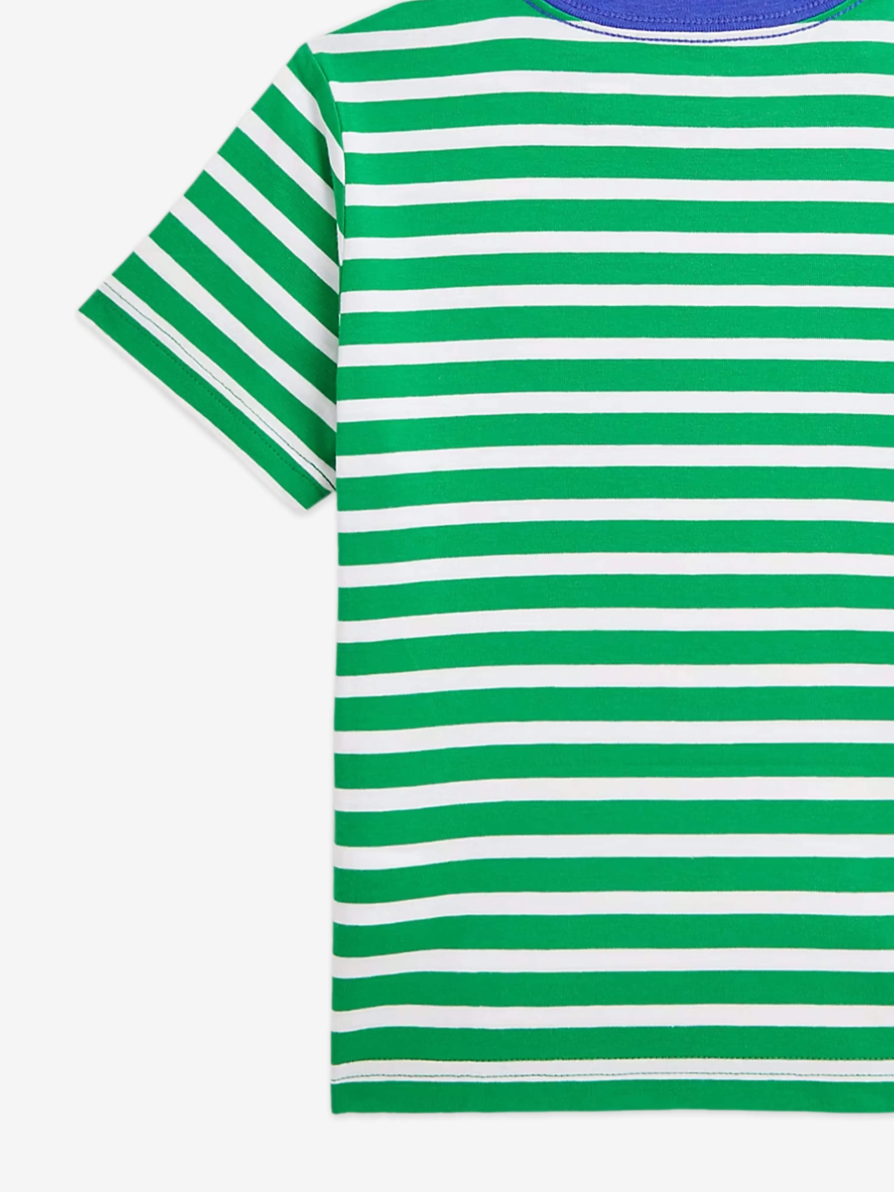 Boys Striped Logo T-Shirt in Green