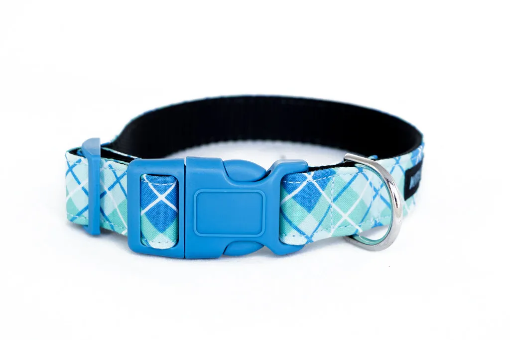 Buckle Dog Collar in Quigley (blue)