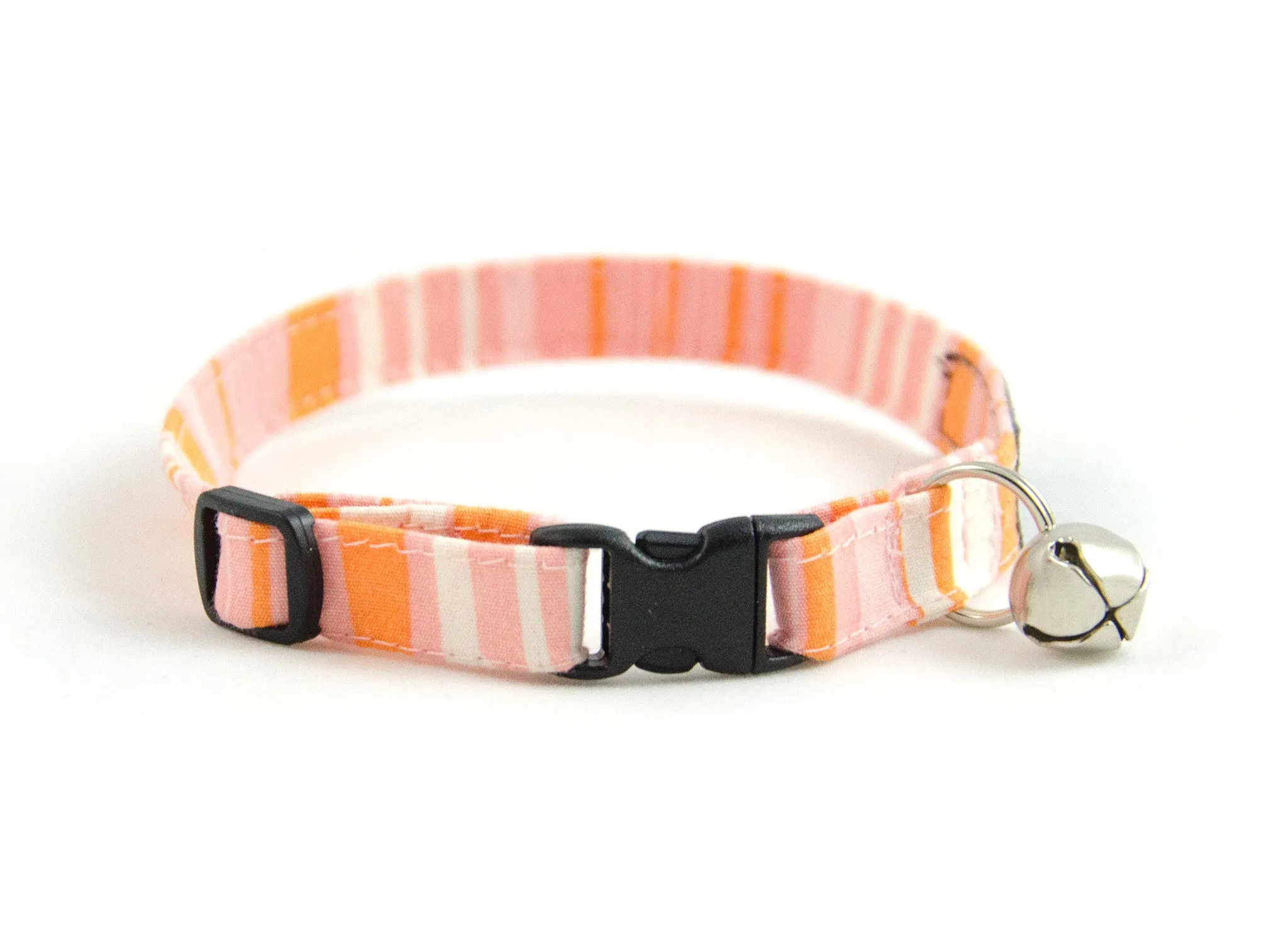 Cat collar in Cloudy