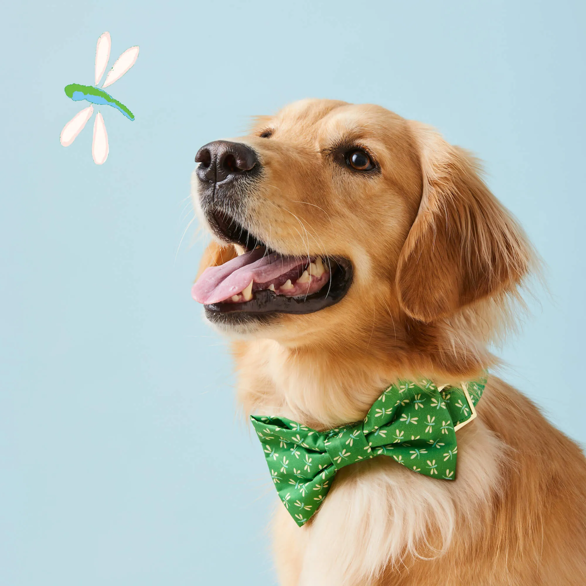 Dragonflies Bow Tie Collar