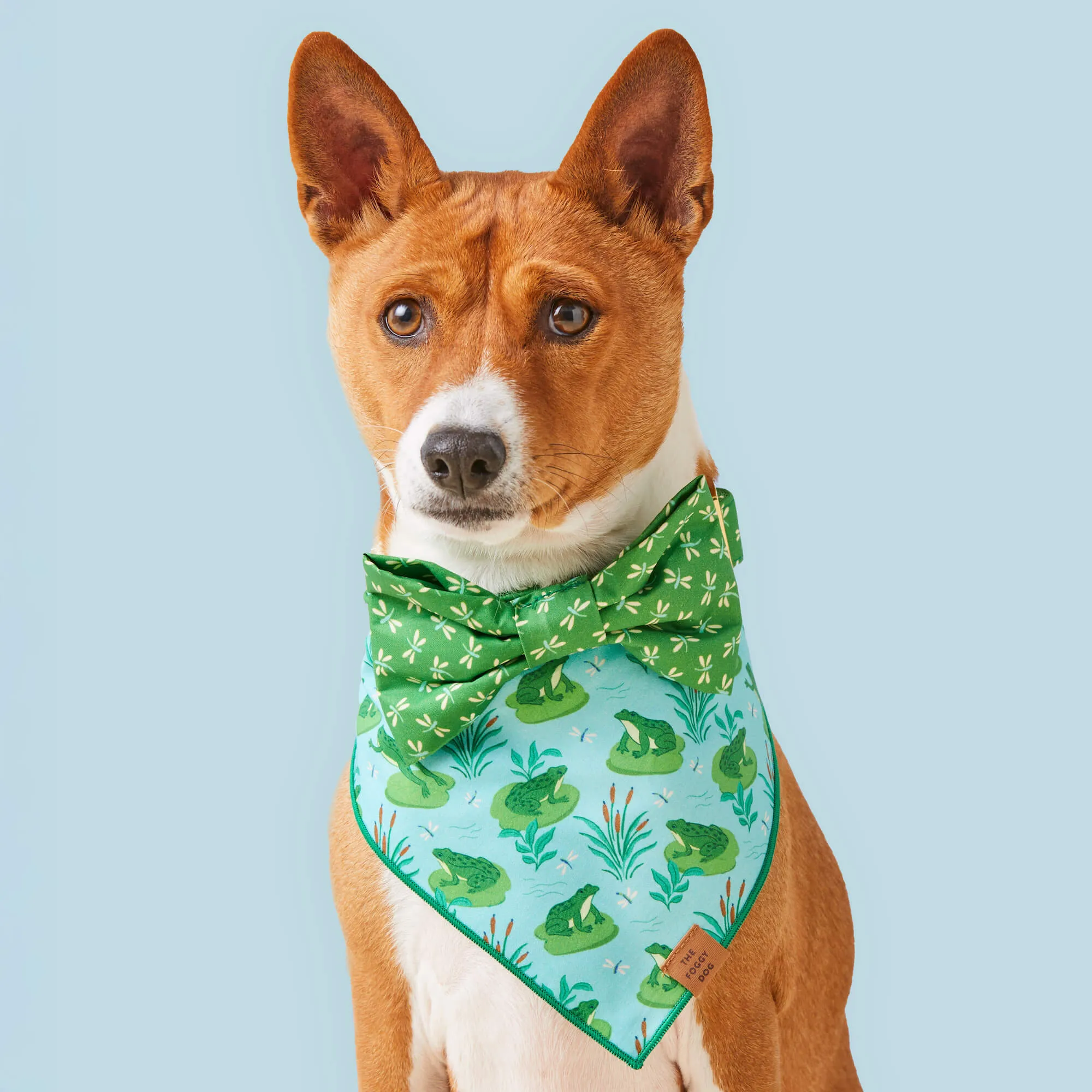 Dragonflies Dog Bow Tie