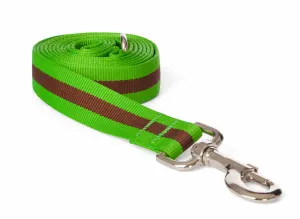 Fabdog Stripe Leash - Green
