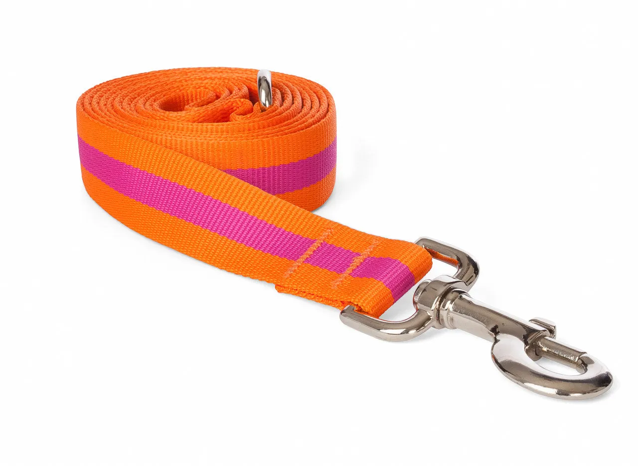 Fabdog Stripe Leash - Pink