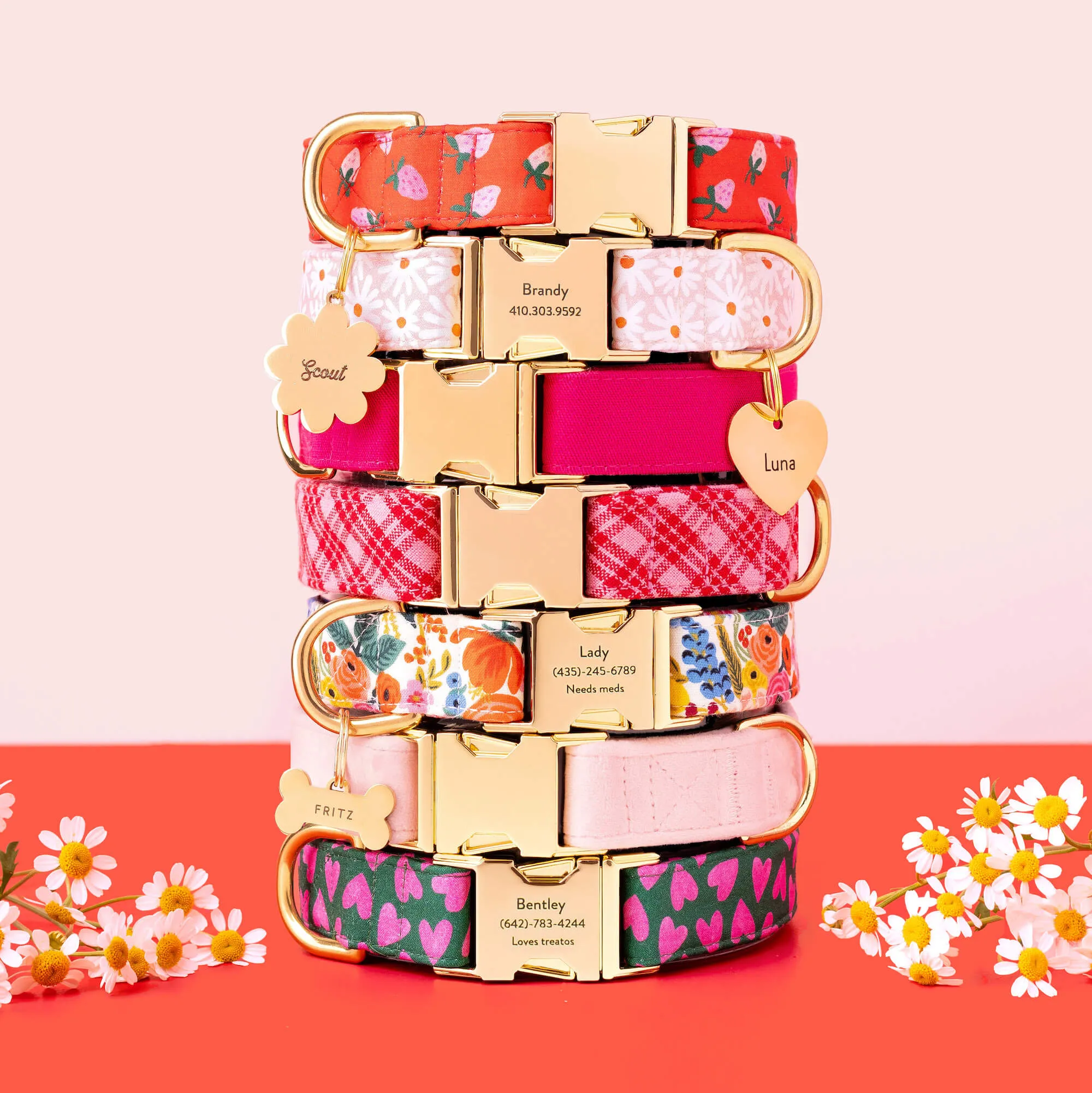 Heather Taylor Home x TFD Katherine Plaid Valentine Dog Collar