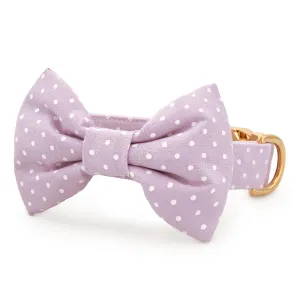 Lavender Dots Bow Tie Collar