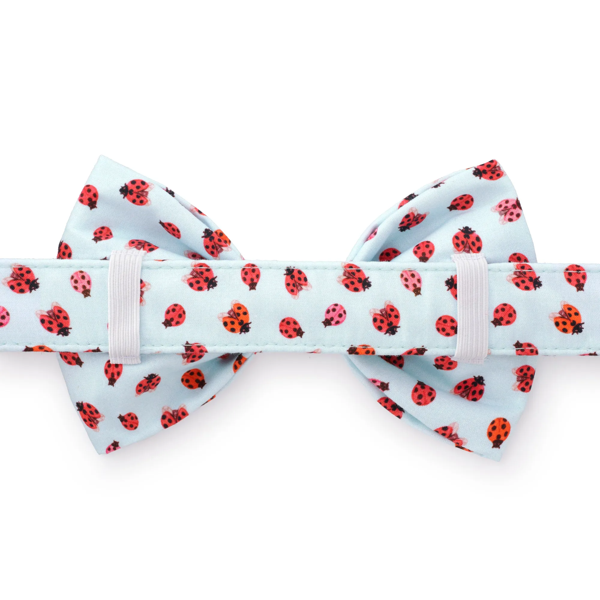 Love Bug Dog Bow Tie