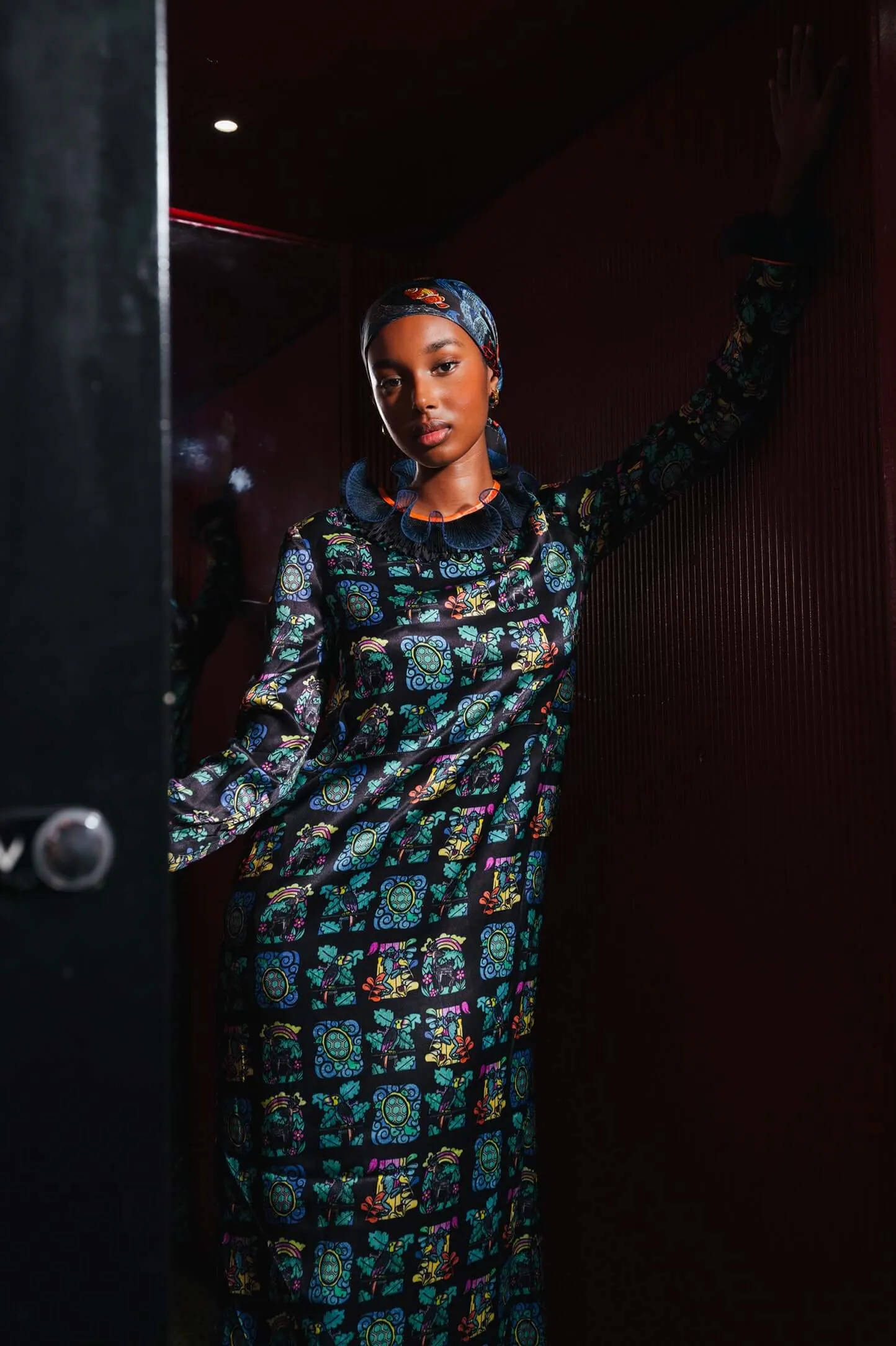 Marshall dress in Moonlight print
