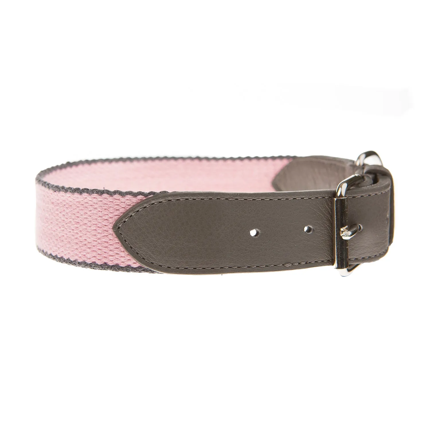 Preppy Dog Collar