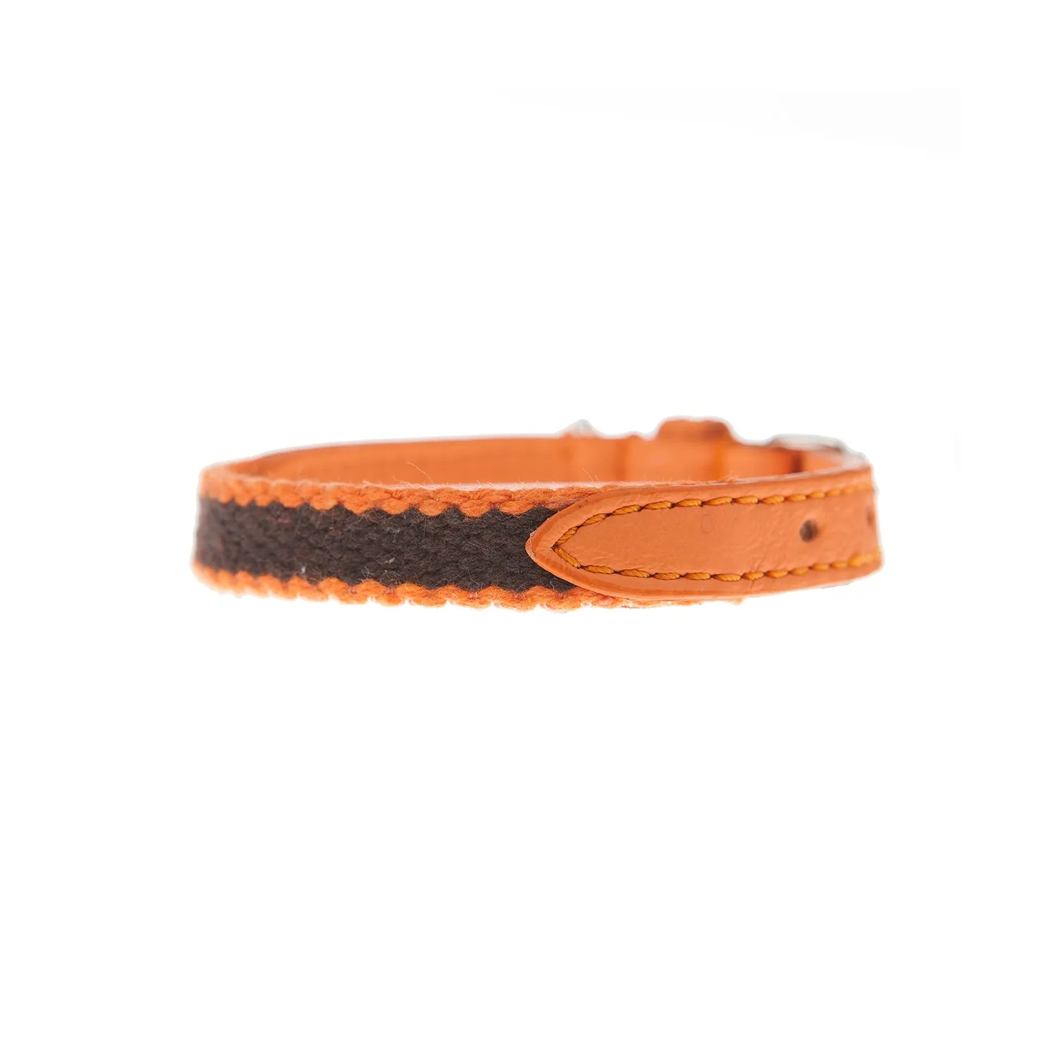 Preppy Dog Collar