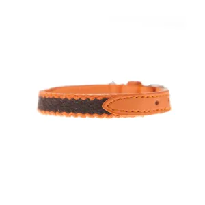 Preppy Dog Collar