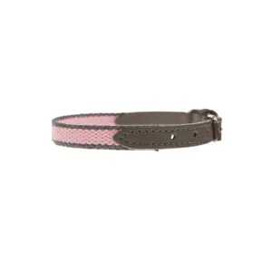 Preppy Dog Collar