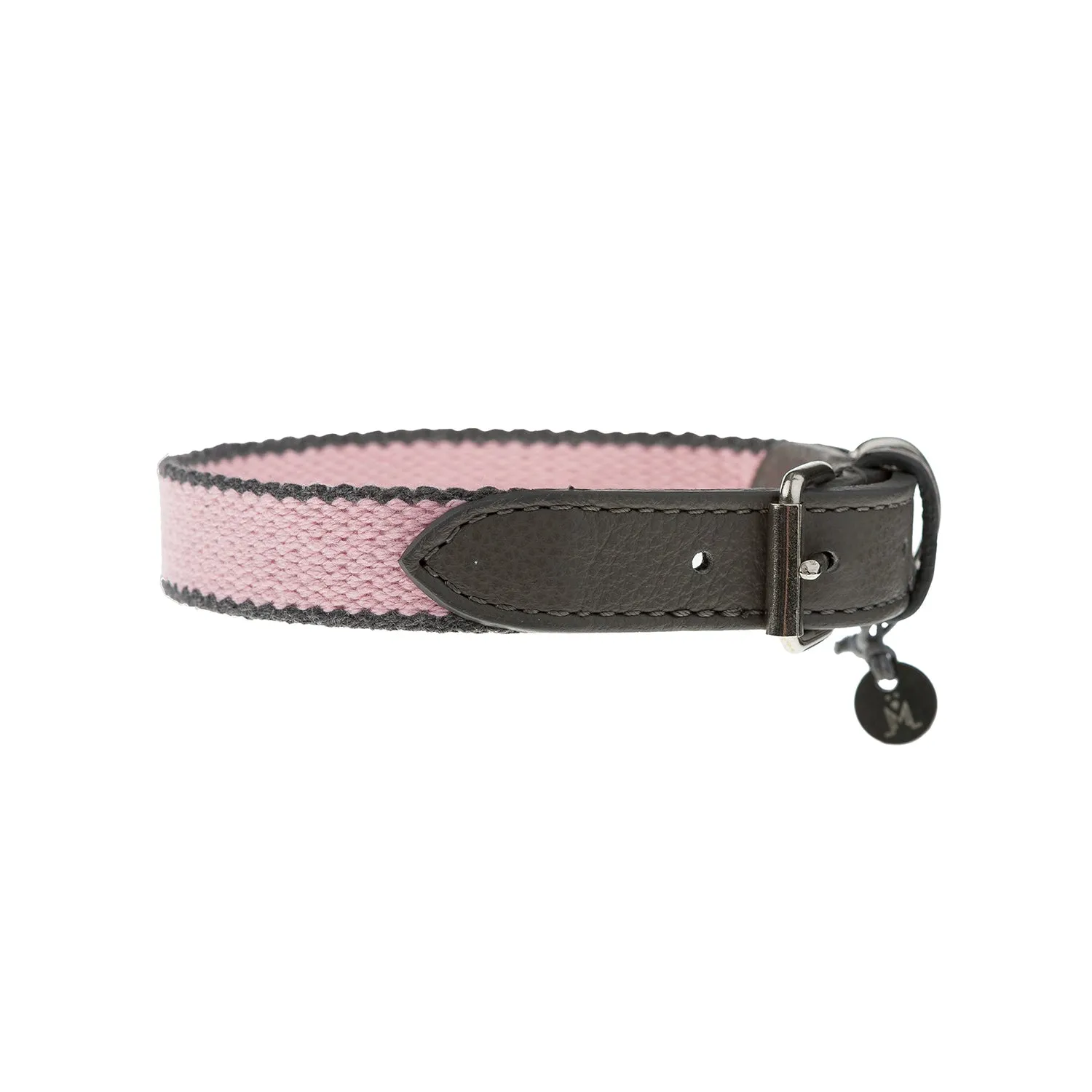 Preppy Dog Collar