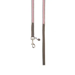 Preppy Dog Lead