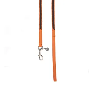 Preppy Dog Lead