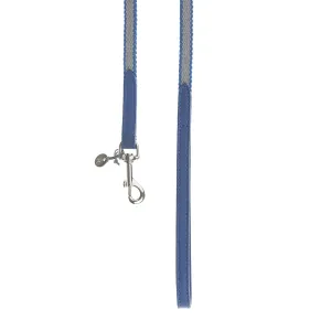 Preppy Dog Lead