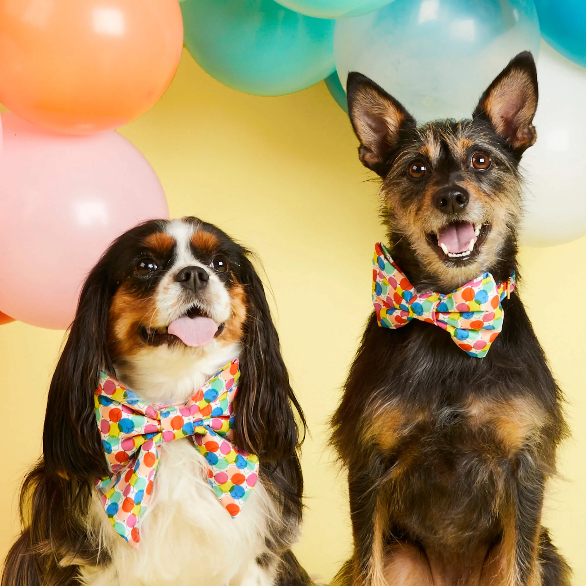 Pup, Pup, and Away Dog Bow Tie