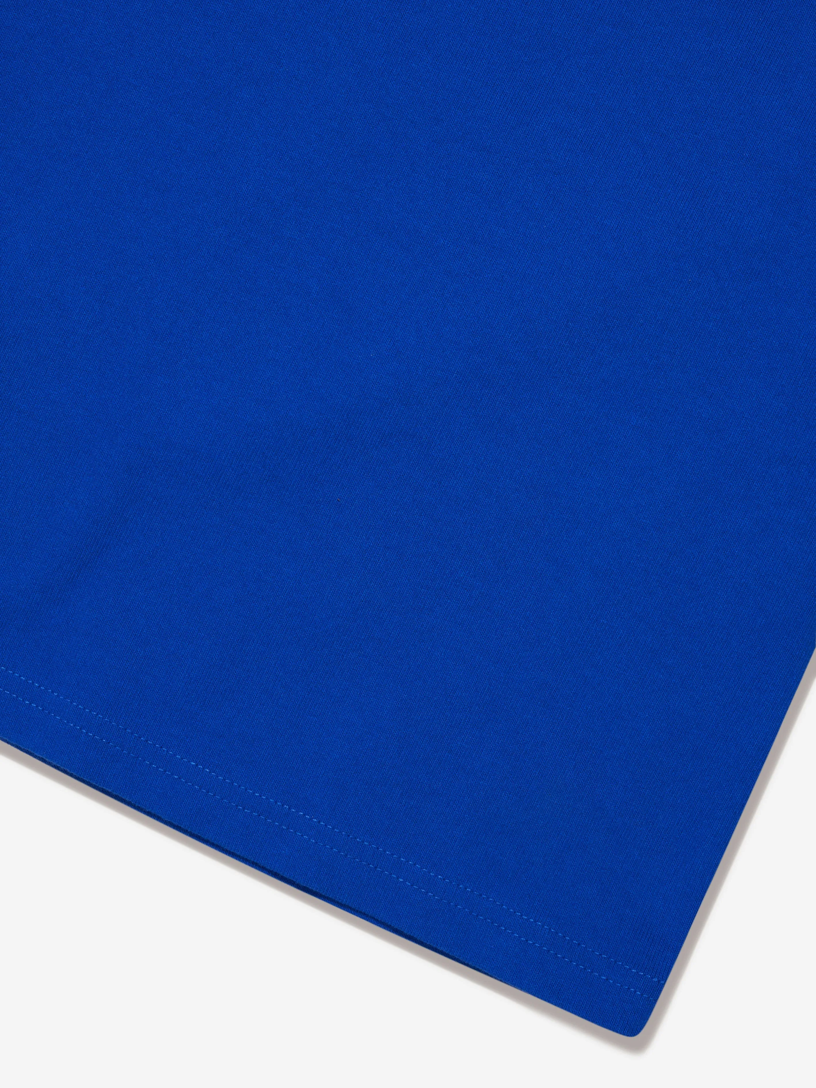 Ralph Lauren Boys Logo T-Shirt in Blue