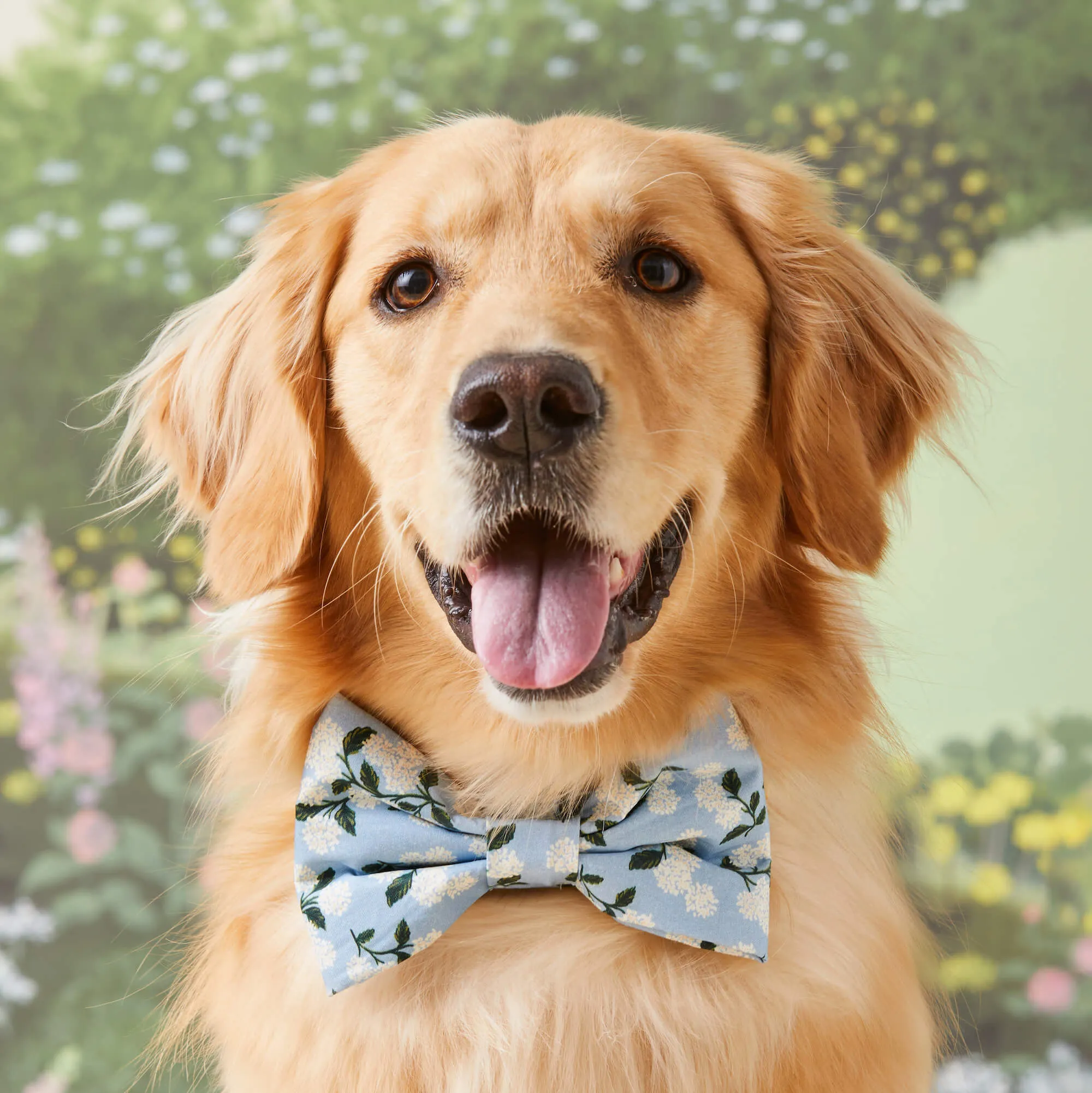 Rifle Paper Co. x TFD Hydrangea Dog Bow Tie