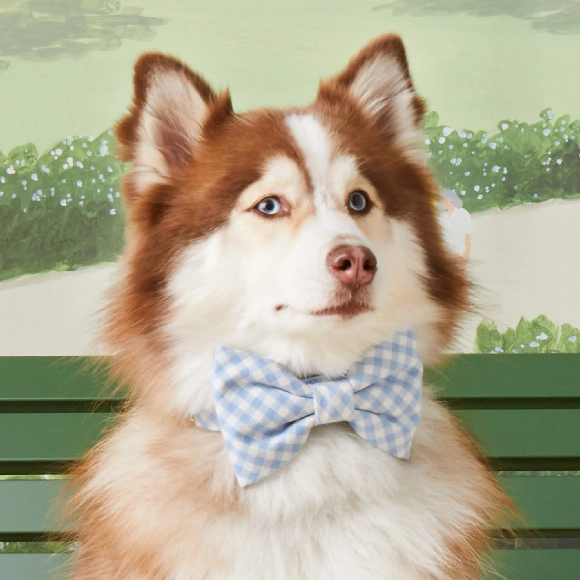Sky Blue Gingham Dog Bow Tie